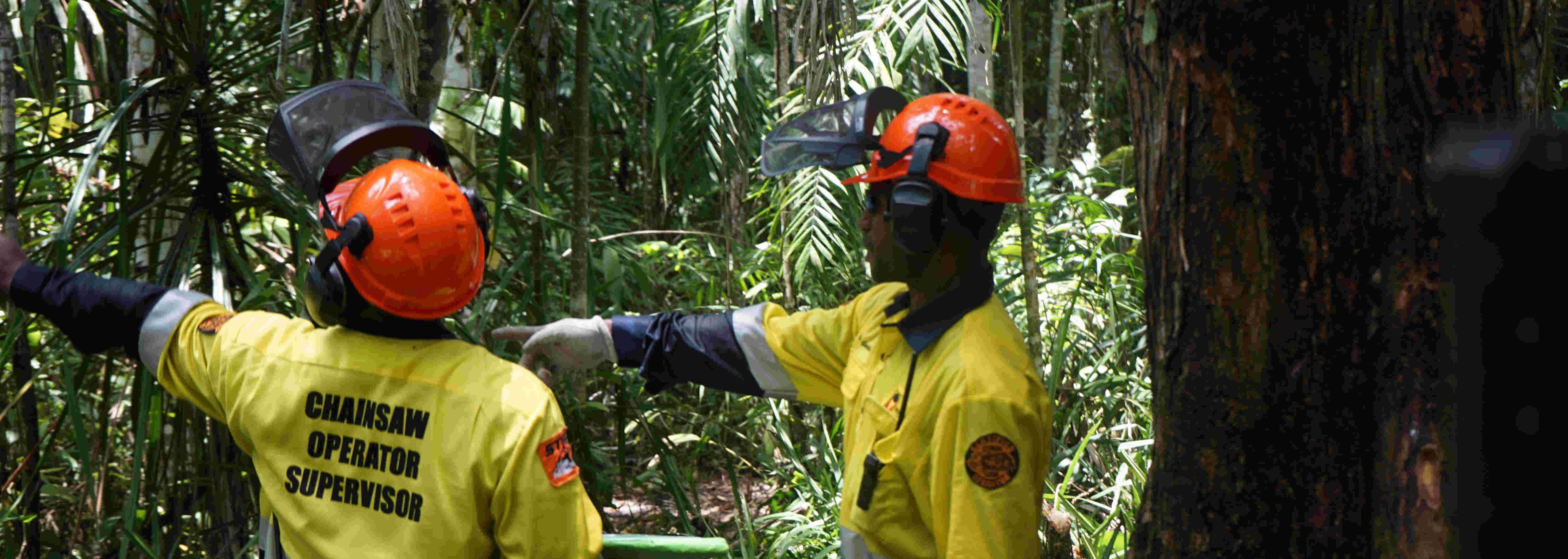 Chainsaw Operations at Gulf of PNG